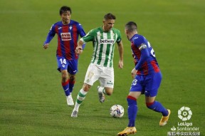 雷速-Ming遭遇三连败，皇家马德里教练面临压力！的简单介绍