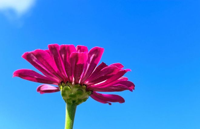 训练课后亚冠传出新动向,沃尔夫斯堡完成体检,高层表态:话题不断,心理建设被强调的简单介绍 训练课后亚冠传出新动向,沃尔夫斯堡完成体检,高层表态:话题不断,心理建设被强调的简单介绍